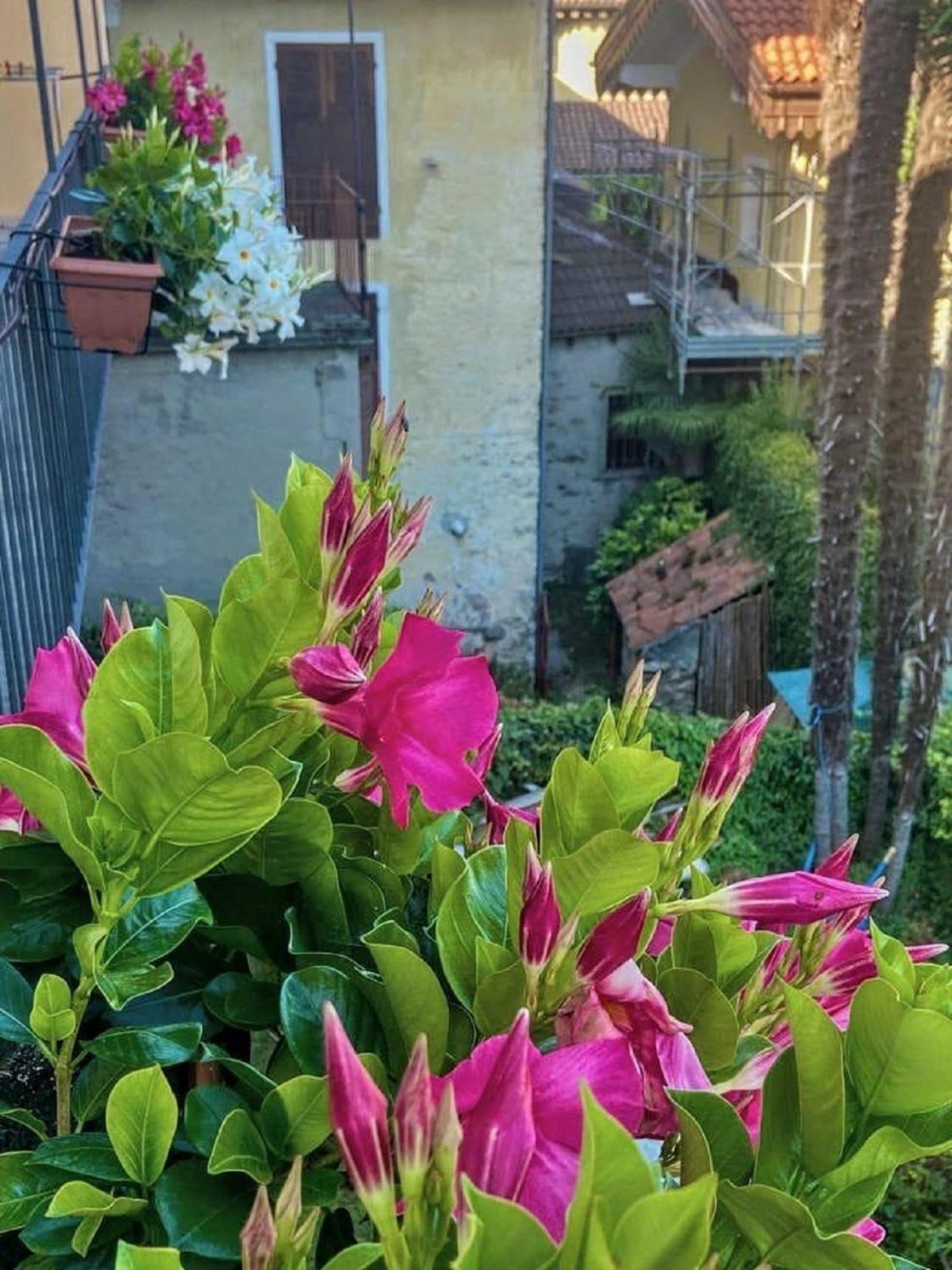 Apartmán Casa Doris Oggebio Exteriér fotografie